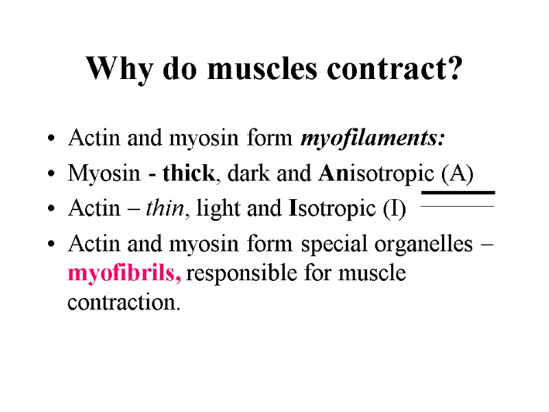 Why do muscles contract? Actin and myosin form myofilaments: Myosin - thick, dark and